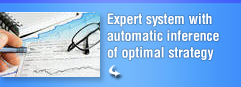 Expert system with automatic inference of optimal strategy